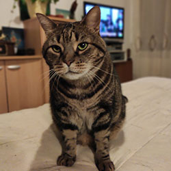 charlie