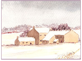 Campi innevati