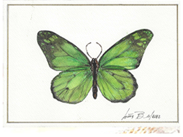 Monarca verde