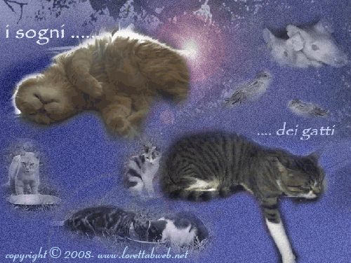 v_04.gif