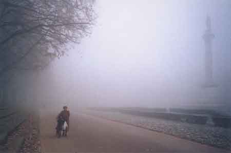 La nebbia in Piazza Ariostea foto di: Gianni Baggio